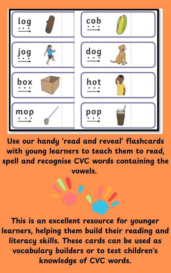 Read to Reveal Flash Cards Early Reading Made Fun!