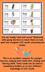 Read to Reveal Flash Cards Early Reading Made Fun!