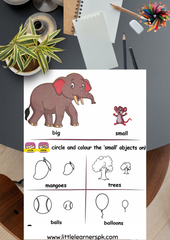 Early Years 4-in-1 Worksheets Learning Bundle (colored)