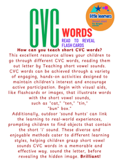 Read to Reveal Flash Cards Early Reading Made Fun!