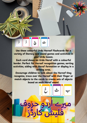 My Flash Cards Box Fun & Interactive Learning for Early Years
